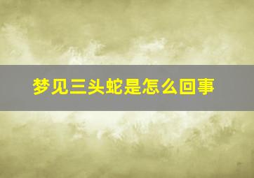 梦见三头蛇是怎么回事,梦见三头蛇是怎么回事周公解梦