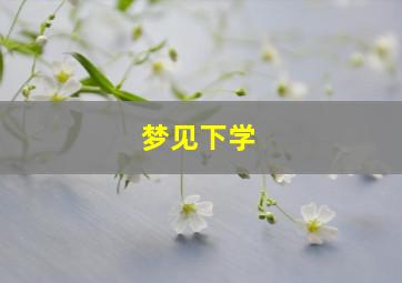 梦见下学,梦见下学接孩子下的雨雪就像冰糖块