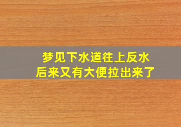 梦见下水道往上反水后来又有大便拉出来了