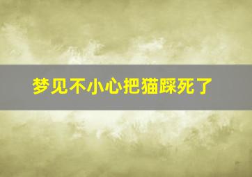 梦见不小心把猫踩死了,梦见不小心踩死一只猫