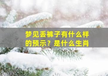 梦见丢裤子有什么样的预示？是什么生肖,梦到自己丢了裤子