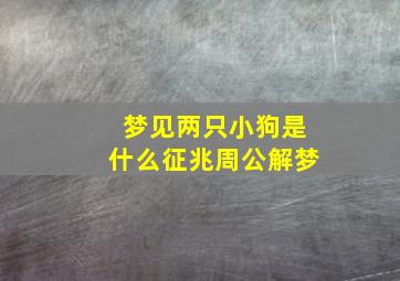 梦见两只小狗是什么征兆周公解梦