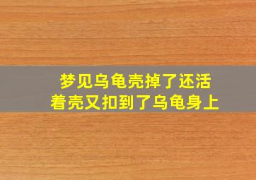 梦见乌龟壳掉了还活着壳又扣到了乌龟身上,梦见乌龟壳没了