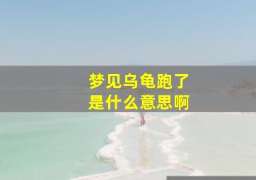 梦见乌龟跑了是什么意思啊