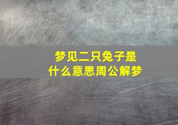 梦见二只兔子是什么意思周公解梦,梦到两只兔子是什么意思周公解梦