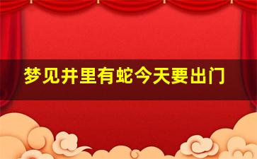 梦见井里有蛇今天要出门