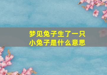 梦见兔子生了一只小兔子是什么意思,梦到兔子生小兔