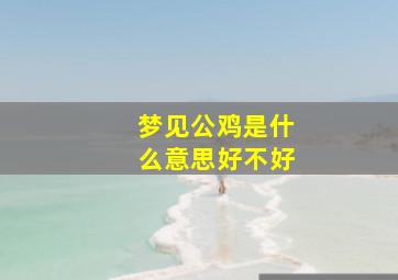 梦见公鸡是什么意思好不好,梦见公鸡是什么意思好不好呢