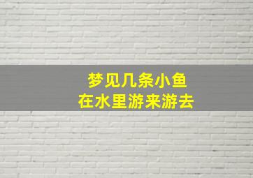 梦见几条小鱼在水里游来游去,梦见几条小鱼在水里游来游去是啥意思