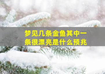 梦见几条金鱼其中一条很漂亮是什么预兆,梦见几条金鱼在水里游