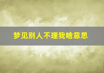 梦见别人不理我啥意思,梦到别人不理我了