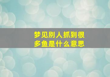 梦见别人抓到很多鱼是什么意思,梦到别人抓到很多的鱼