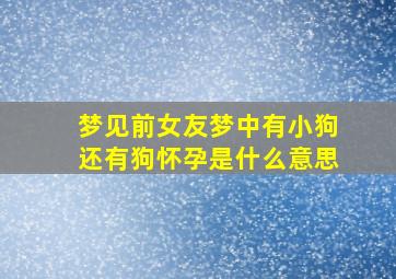 梦见前女友梦中有小狗还有狗怀孕是什么意思,梦见狗和前任