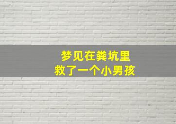 梦见在粪坑里救了一个小男孩