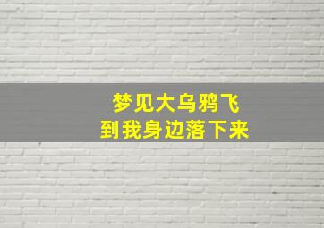 梦见大乌鸦飞到我身边落下来,梦见大乌鸦飞到我身边落下来好不好