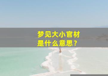 梦见大小官材是什么意思？,梦见官材一大一小