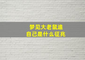 梦见大老鼠追自己是什么征兆,我到处躲