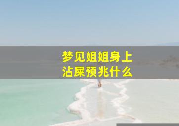 梦见姐姐身上沾屎预兆什么,梦见自己的姐姐拉了好多屎