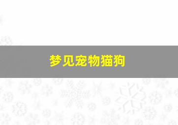 梦见宠物猫狗,梦见宠物猫是什么预兆