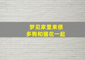 梦见家里来很多狗和猫在一起,梦到家里很多狗和猫