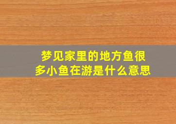 梦见家里的地方鱼很多小鱼在游是什么意思,梦见家里面都是鱼