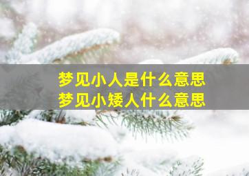 梦见小人是什么意思梦见小矮人什么意思,梦见小矮人跟着我是什么意思