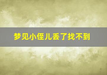 梦见小侄儿丢了找不到,梦见侄儿丢了又找回来了