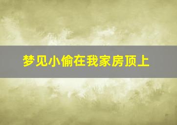 梦见小偷在我家房顶上,梦见小偷钻进自己家屋