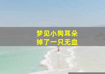 梦见小狗耳朵掉了一只无血,梦见狗耳朵被剪了流好多血