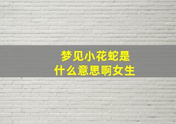 梦见小花蛇是什么意思啊女生