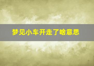 梦见小车开走了啥意思