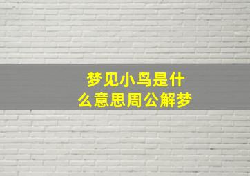 梦见小鸟是什么意思周公解梦,梦到小鸟是什么预兆