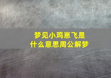 梦见小鸡崽飞是什么意思周公解梦,梦见小鸡仔飞起来了