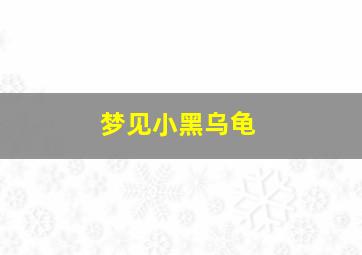 梦见小黑乌龟,梦到黑乌龟是啥意思