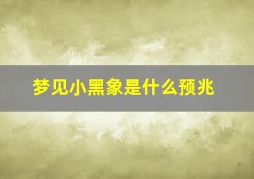 梦见小黑象是什么预兆