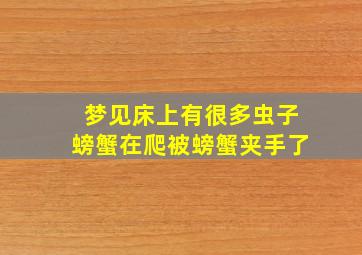 梦见床上有很多虫子螃蟹在爬被螃蟹夹手了,梦见螃蟹虫子满地乱跑