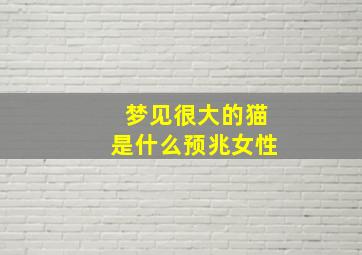 梦见很大的猫是什么预兆女性,做梦梦见很大的猫