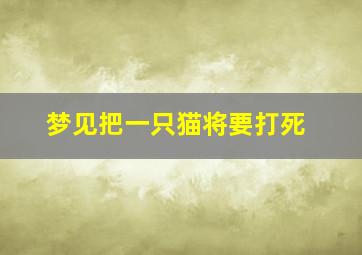 梦见把一只猫将要打死,梦见把一只猫将要打死它