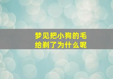 梦见把小狗的毛给剃了为什么呢,梦见把狗毛剃光