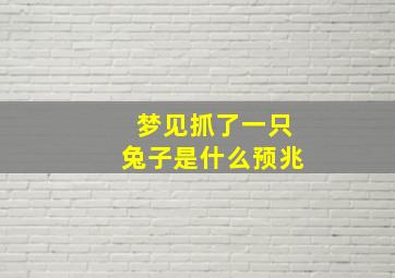 梦见抓了一只兔子是什么预兆