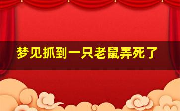 梦见抓到一只老鼠弄死了,梦见抓了只老鼠打死了