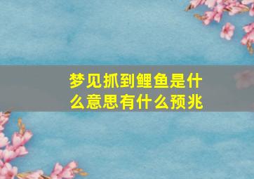 梦见抓到鲤鱼是什么意思有什么预兆,做梦梦到抓到鲤鱼是什么意思