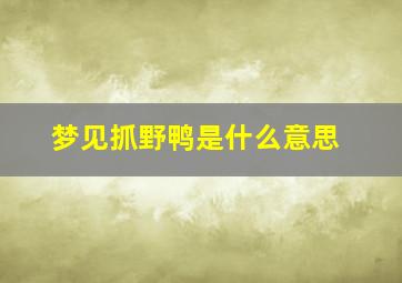 梦见抓野鸭是什么意思,梦见抓野鸭是什么意思啊