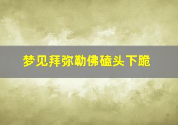 梦见拜弥勒佛磕头下跪,梦见拜弥勒佛像