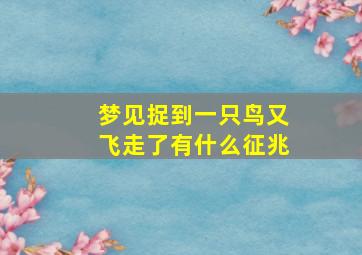 梦见捉到一只鸟又飞走了有什么征兆,梦见抓到一只鸟儿