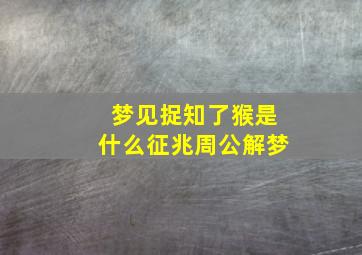 梦见捉知了猴是什么征兆周公解梦,梦见捉知了好不好