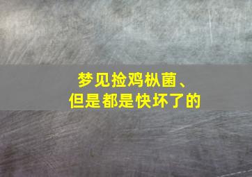 梦见捡鸡枞菌、但是都是快坏了的,梦见捡很多鸡枞菌