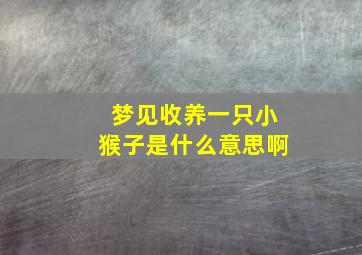 梦见收养一只小猴子是什么意思啊