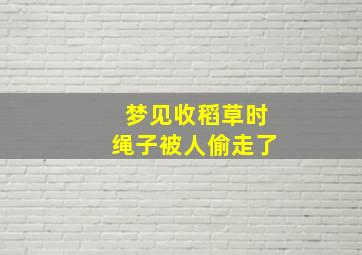 梦见收稻草时绳子被人偷走了,做梦梦见收稻谷草