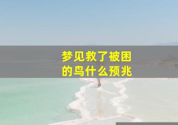 梦见救了被困的鸟什么预兆,梦到救了一只被困住的鸟